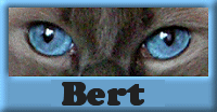 bert/bert-712376