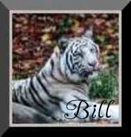 bill/bill-616217