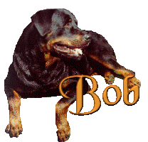 bob/bob-212063