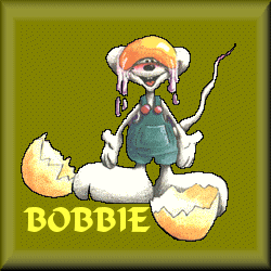 bobbie/bobbie-415913