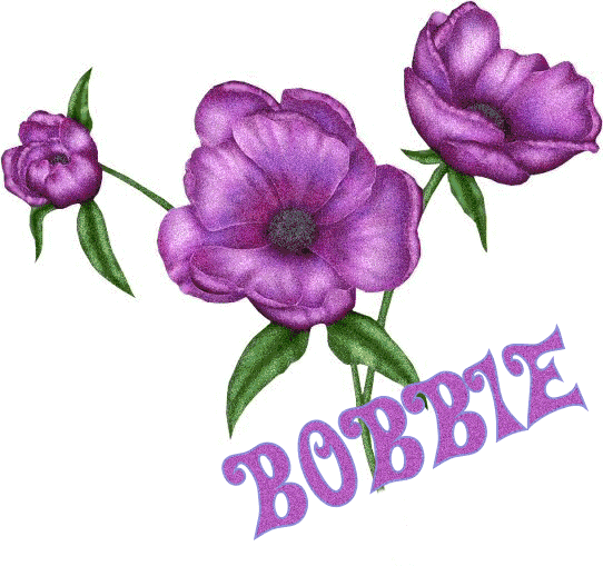 bobbie/bobbie-723013