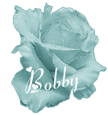 bobby/bobby-679387