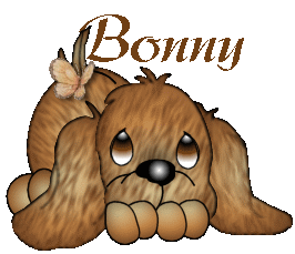 bonny/bonny-106307