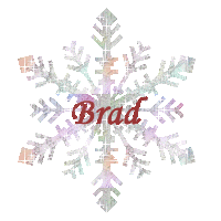 brad/brad-280902