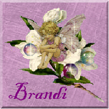 brandi/brandi-262423