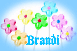 brandi/brandi-806859