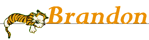 brandon/brandon-484076