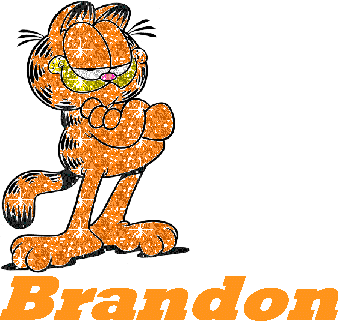 brandon/brandon-646646