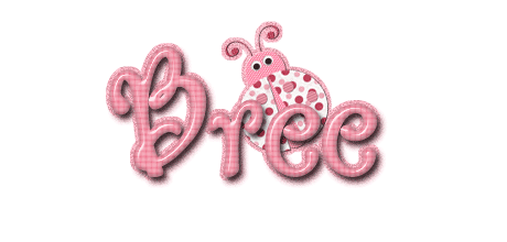 bree/bree-018743