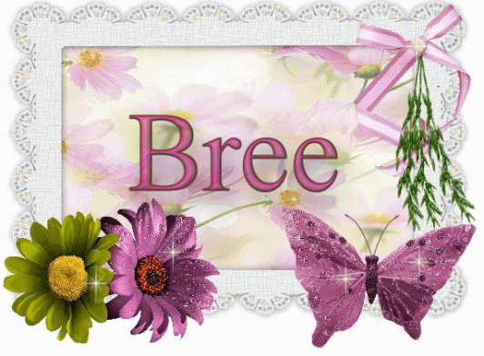 bree/bree-061018