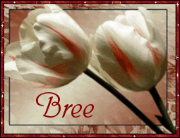 bree/bree-267053