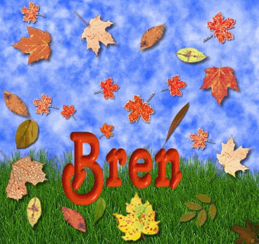 bren/bren-004079