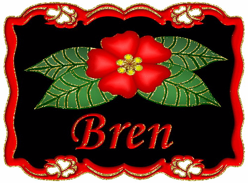 bren/bren-472739