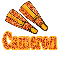 cameron/cameron-377909