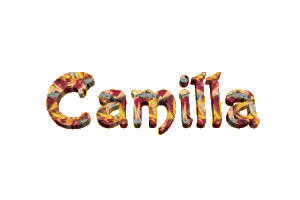 camilla/camilla-686119