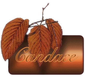 candace/candace-266499