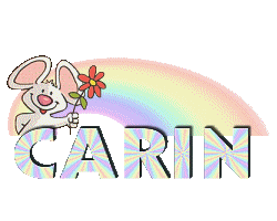 carin/carin-537045