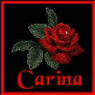 carina/carina-369869