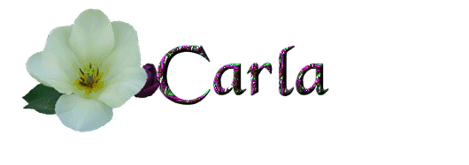 carla/carla-556401