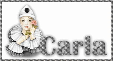 carla/carla-732211