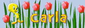carla/carla-874537