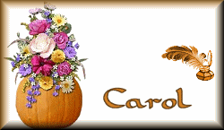 carol/carol-265374