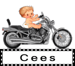 cees/cees-075671