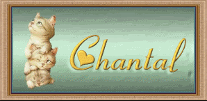 chantal/chantal-375611