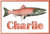charlie/charlie-085563
