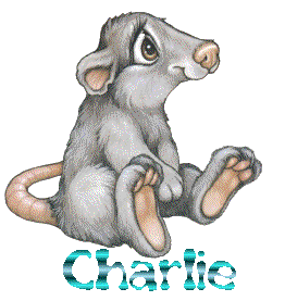 charlie/charlie-935914