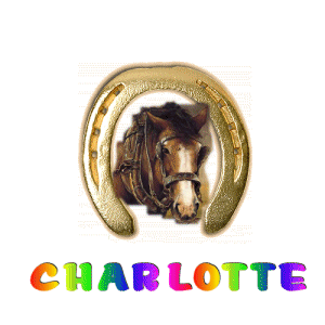 charlotte/charlotte-374646