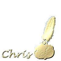 chris/chris-494372