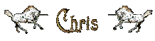 chris/chris-609919