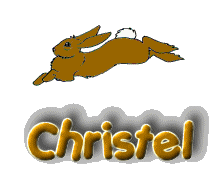 christel/christel-343057