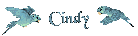 cindy/cindy-256759