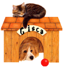 cisca/cisca-841255