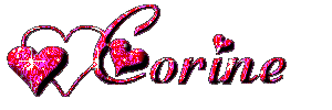 corine/corine-324484