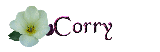 corry/corry-938709