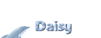 daisy/daisy-593419