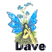 dave/dave-612351