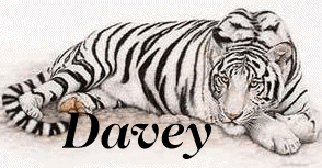 davey/davey-668829