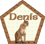 denis/denis-906706