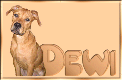 dewi/dewi-232063