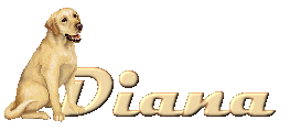 diana/diana-550821
