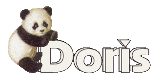 doris/doris-830519