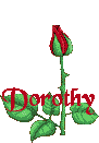 dorothy/dorothy-116651