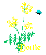 dottie/dottie-499415