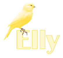 elly/elly-112711