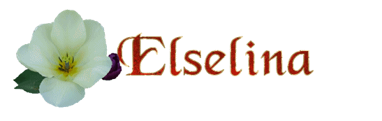 elselina/elselina-295780