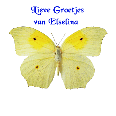 elselina/elselina-413515
